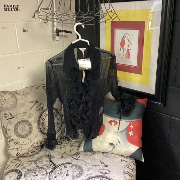 SE VILLA SHEER. PLEATED.  Button Down Blouse NWTsz 12 - Picture 1 of 10